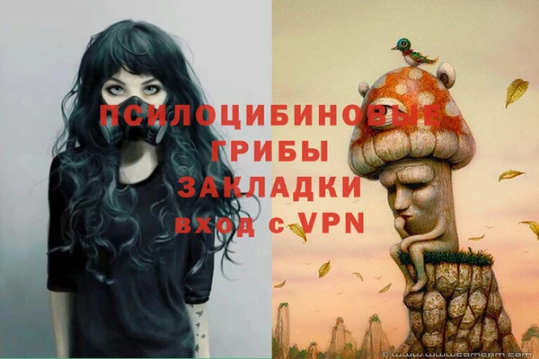 бошки Кулебаки